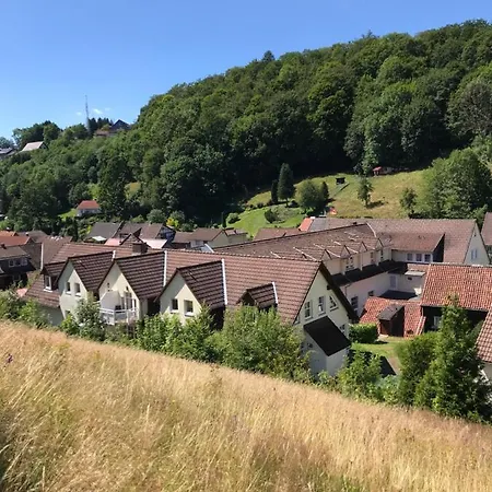 Sauerbrey 4*