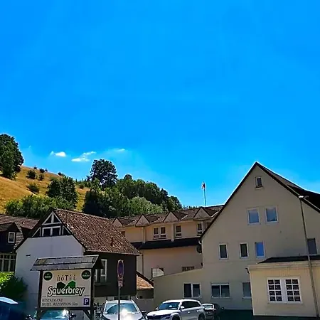 绍尔布赖酒店