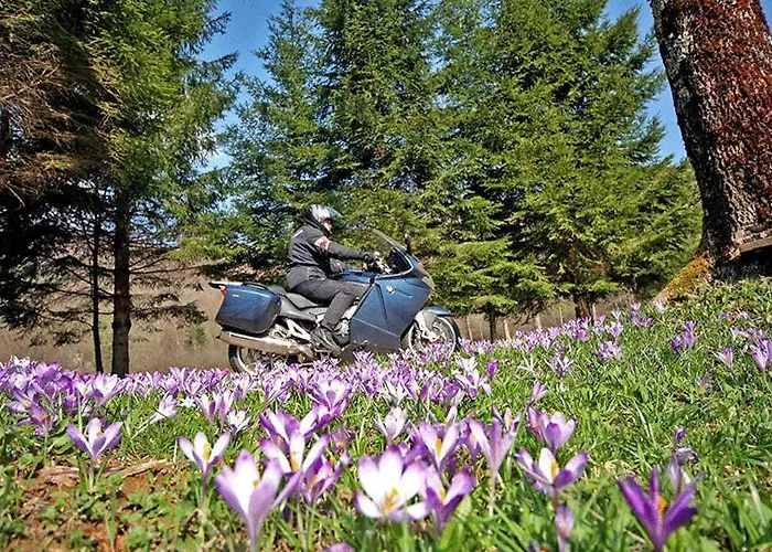 Hotel Sauerbrey Osterode am Harz